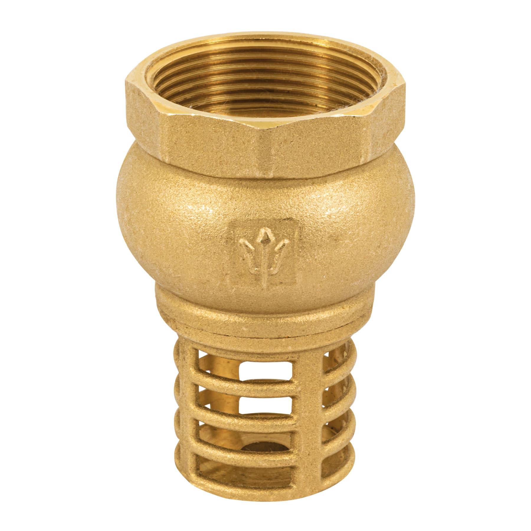 PICHANCHA CON REJILLA DE LATÓN 1-1/2', FOSET