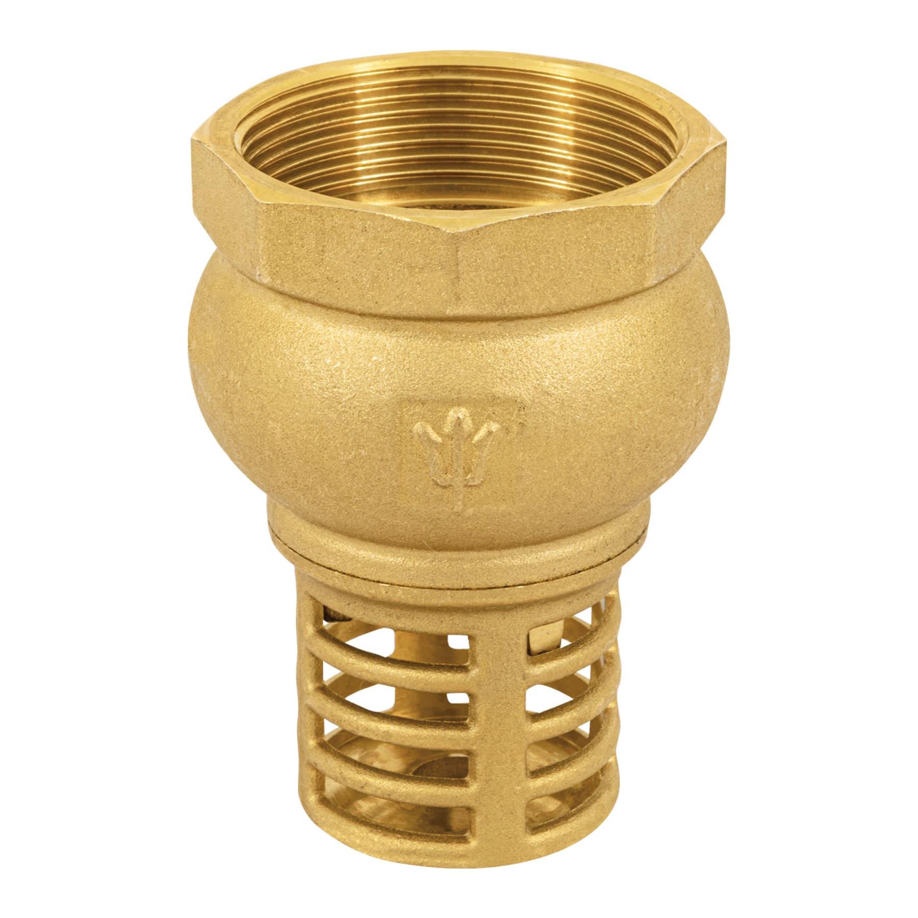 PICHANCHA CON REJILLA DE LATÓN 2', FOSET