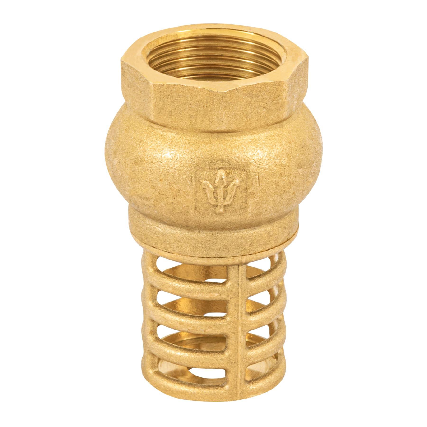 PICHANCHA CON REJILLA DE LATÓN 3/4', FOSET